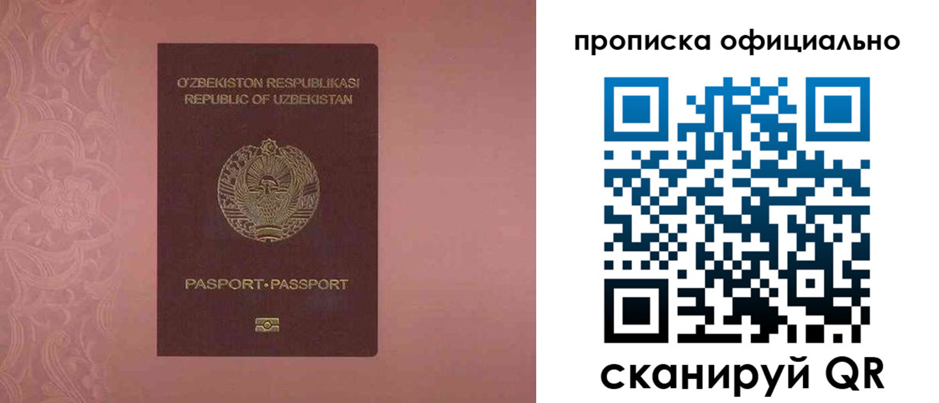 прописка гарантия в Коркино